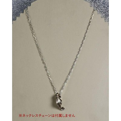 画像4: SVカメレオンペンダント