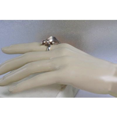 画像6: SVカメレオンリング