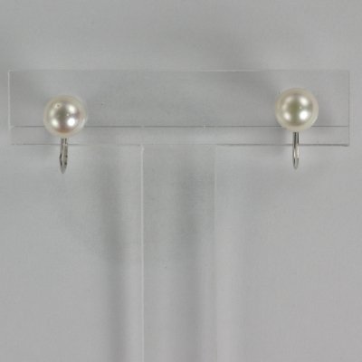 画像6: K14WGアコヤパールイヤリング