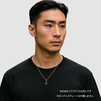 画像7: 【再入荷】Pt900フィッシュフックペンダント SSサイズ