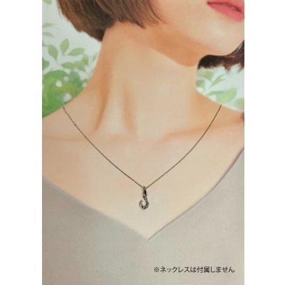 画像10: 【再入荷】Pt900フィッシュフックペンダント SSサイズ