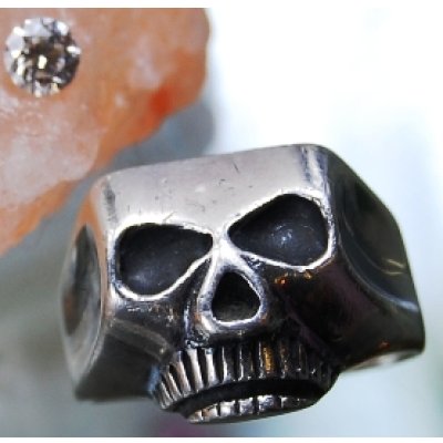 画像1: シルバースカルリング　カスタム例