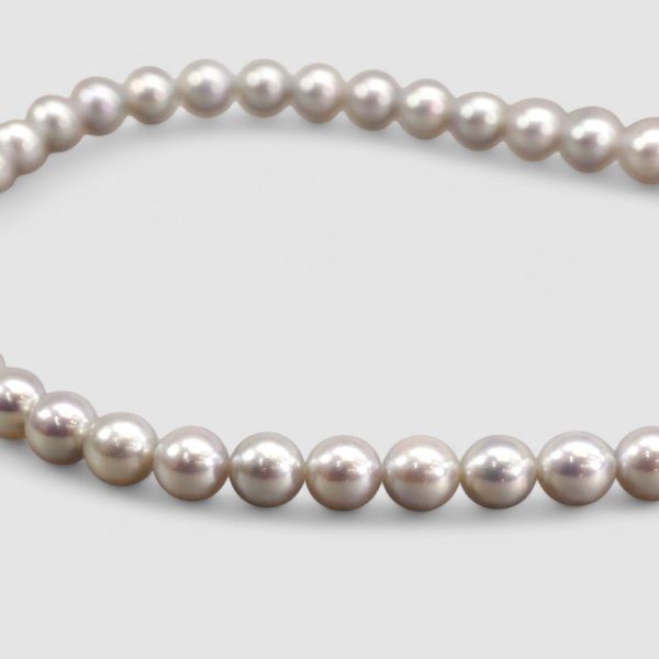 画像5: アコヤグレーパールネックレス (5)
