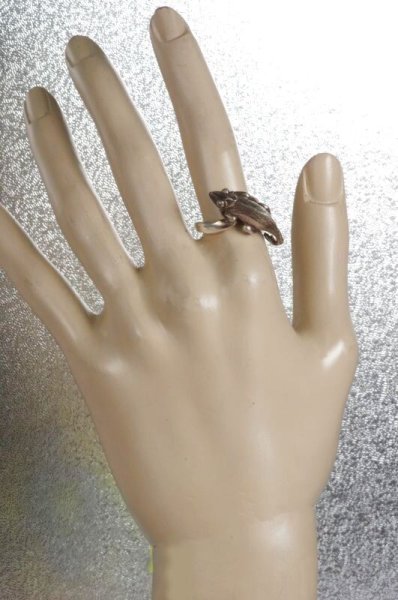 画像5: SVカメレオンリング (5)