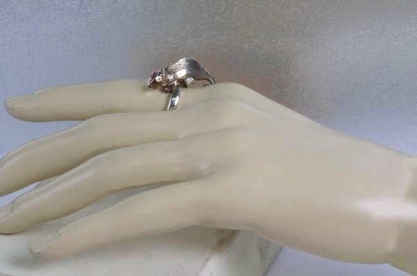 画像6: SVカメレオンリング (6)