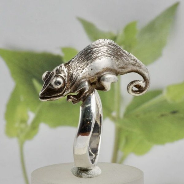 画像4: SVカメレオンリング (4)