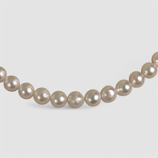 画像4: 【お値打ち品】アコヤパール 約9×9.5mmパールネックレス (4)
