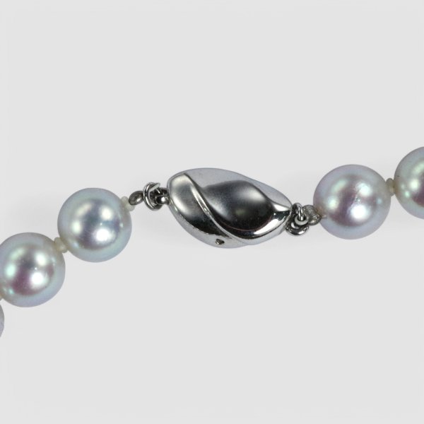 画像4: アコヤグレーパールネックレス (4)