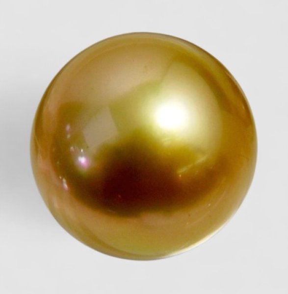 画像7: 【オーダー例】ゴールドパールの指輪|K18YG × 南洋白蝶ゴールド13mm (7)