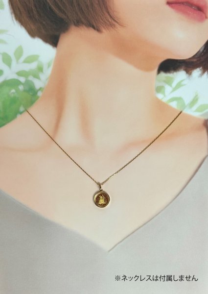 画像8: 【特価】純金ピーターラビット金貨 1/25オンス K18YG枠コインペンダント (8)